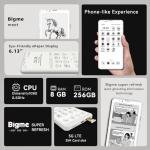 Bigme HiBreak Pro 6.13" Epaper Smartphone 8+256 GB