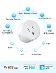 Smart WiFi Plugs with Voice Control & Timer
