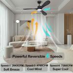 Smart Black Ceiling Fan with LED Lights & Remote