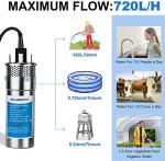 ECO-WORTHY Solar Well Water Pump Kit 24V DC Submersible Water Pump with 4pcs 100W Mono Solar Panel Lithium 30AH Battery&Controller for Well Pond Home Farm Stainless Steel- DELIVERY IN 3 PACKAGES