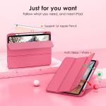 DTTOCASE iPad 10th Gen Transparent Case - Watermelon