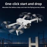 8K HD Drone Dual Camera Brushless Motor - 4.3" Remote 2 Batteries Foldable Quadc