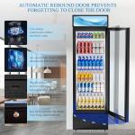 Beverage Cooler Commercial Refrigerator 12.6 Cu.Ft. Glass Door Display Refrigerator with LED Light, 5 Shelves, Display Commercial Beverage Refrigeratorfor Restaurant Cafe Bar Store (12.6 Cu.Ft.)