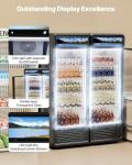 VEVOR Commercial Merchandiser Refrigerator, 6.9 CU.FT Glass Door Display Refrigerator, Beverage Refrigerator Cooler Merchandiser with Adjustable Shelves, Soft LED Light, Customizable Lightbox, Black