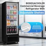 BODEGACOOLER Commercial Beverage Refrigerator, 290L Display Fridge with Soft LED Light, 264 Cans & 120 Bottles Commercial Merchandiser Refrigerator For Kitchen, Home,Office,Garage,Gym,Shop,Man cave