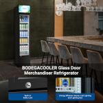BODEGACOOLER Commercial Merchandiser Refrigerator, Glass Door Commercial Beverage Refrigerator, Beverage Display Cooler with Soft LED Light and Adjustable Shelves, 5.7 Cu. Ft. Single Swing Door, Black