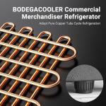 BODEGACOOLER Commercial Merchandiser Refrigerator, Glass Door Commercial Beverage Refrigerator, Beverage Display Cooler with Soft LED Light and Adjustable Shelves, 5.7 Cu. Ft. Single Swing Door, Black