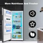 SMETA 21 Cu. Ft Freezer Upright, Stand Up Convertible All Refrigerator with Glass Shelves, Frost Free, Energy Saving, Led Light, Deep Tall Freezers Freezerless for Garage, Kitchen, Home, Office