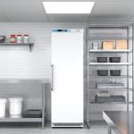 KoolMore 12 Cu. ft. Commercial Reach in Refrigerator in White with Manual Defrost (KM-RMD12WH)