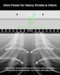 FOTILE 30" Kitchen Range Hood with LED Lights