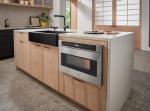 THOR Kitchen 24-Inch Professional Microwave Drawer