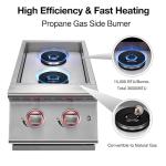 2-Burner Propane Gas Grill with Stainless Steel