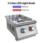 2-Burner Propane Gas Grill with Stainless Steel