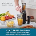 Compact Cold Press Juicer for Nutrient-Dense Juice