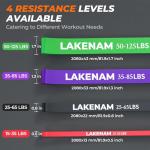 Lakenam Resistance Bands Set with Handles and Anchor