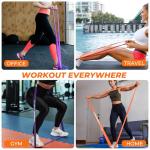 Lakenam Resistance Bands Set with Handles and Anchor