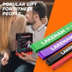 Lakenam Resistance Bands Set with Handles and Anchor