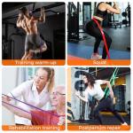 Lakenam Resistance Bands Set with Handles and Anchor