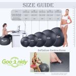 Anti-Burst Yoga Ball with Pump for Exercise