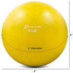 ProsourceFit Color-Coded Weighted Exercise Balls