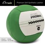 Champion Sports 10 lb Soft Shell Slam Ball