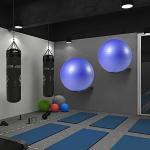 Wall-Mounted Medicine Ball and Stability Ball Rack