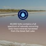 Trace Minerals 40,000 Volts Electrolyte Support Drops