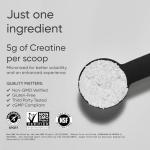 Micronized Creatine Monohydrate for Muscle Gain
