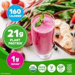 Orgain Organic Vegan Protein Powder - Vanilla Bean