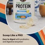 Vegan Protein Powder with Probiotics and Enzymes