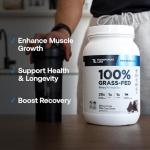 Grass-Fed Whey Protein Isolate - Milk Chocolate
