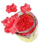 IvyBears Protein Boost Gummies - 70 Count