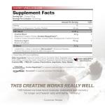 PMD Sports CG5 Creatine & L Glutamine Powder