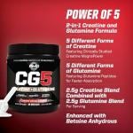 PMD Sports CG5 Creatine & L Glutamine Powder
