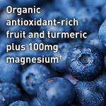 Garden of Life Vegan Muscle Recovery Powder - Blackberry Lemonade