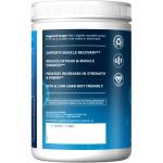 MRM Nutrition Reload BCAA+G Post-Workout Recovery Drink
