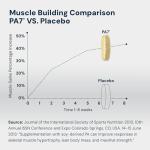 HPN PA(7) Natural Muscle Builder for Mass & Strength