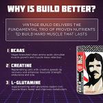 Muscle Recovery Powder Drink - Fresh Berries Flavor