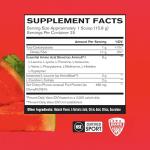 BPN Recover Post-Workout Drink Mix, Watermelon Flavor