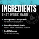 Animal Nitro EAA - Essential Amino Acids Supplement