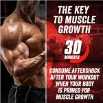 Myogenix Aftershock Muscle Growth Whey Protein - 3 LBS