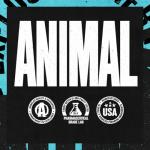 Animal Nitro EAA - Essential Amino Acids Supplement
