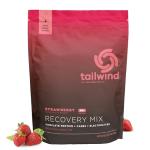 Strawberry Protein Recovery Mix - 20 Servings
