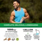 Orgain Vegan Meal Replacement Protein Powder - Chocolate