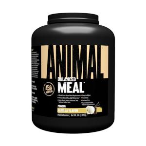 Animal Meal Protein Shake - Muscle Recovery Blend, Vanilla