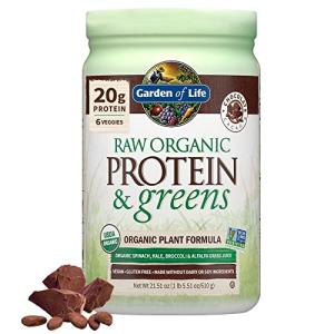 Raw Organic Chocolate Protein Powder with Greens