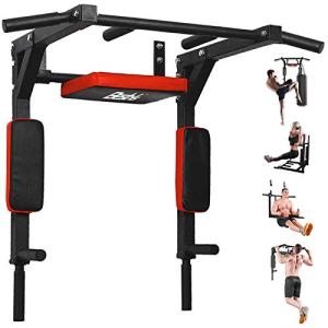 Wall Mounted Pull Up Bar and Dip Station