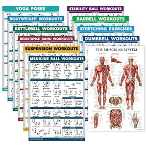 11 Pack Laminated Exercise Poster Set