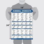 11 Pack Laminated Exercise Poster Set