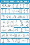 11 Pack Laminated Exercise Poster Set